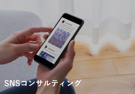 SNSコンサルティング